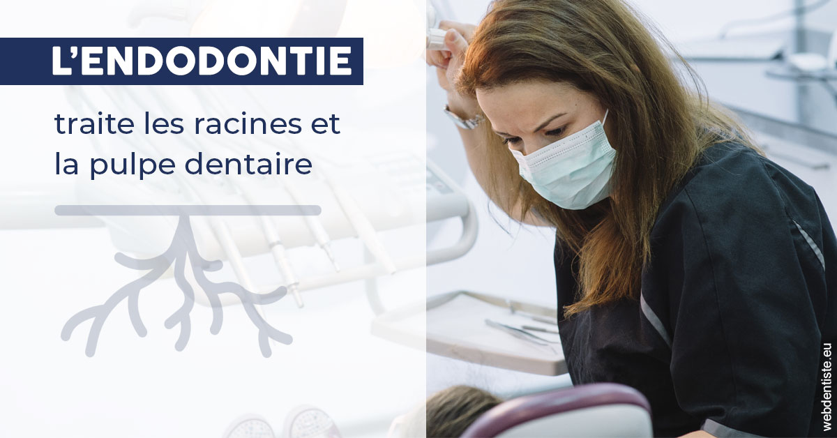 https://dr-robert-philippe.chirurgiens-dentistes.fr/L'endodontie 1
