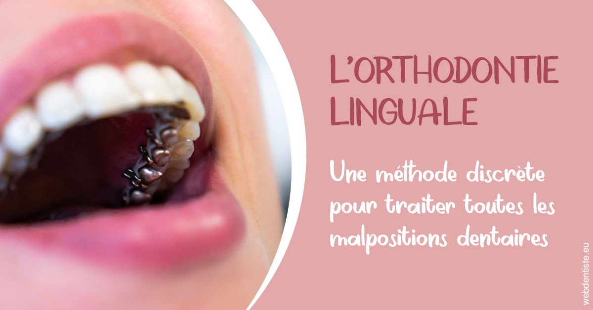 https://dr-robert-philippe.chirurgiens-dentistes.fr/L'orthodontie linguale 2