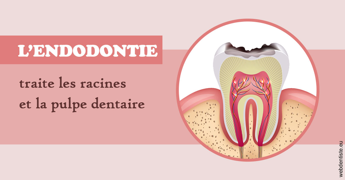 https://dr-robert-philippe.chirurgiens-dentistes.fr/L'endodontie 2