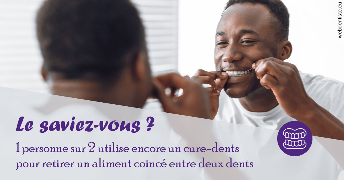 https://dr-robert-philippe.chirurgiens-dentistes.fr/Cure-dents 2