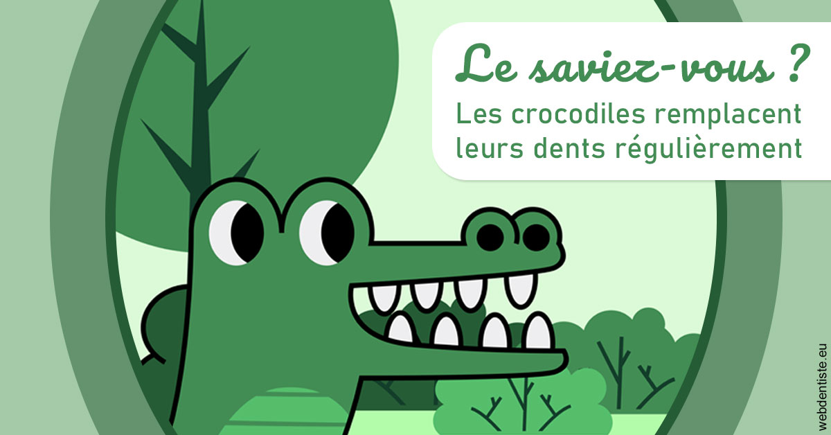 https://dr-robert-philippe.chirurgiens-dentistes.fr/Crocodiles 2