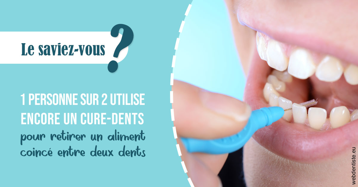 https://dr-robert-philippe.chirurgiens-dentistes.fr/Cure-dents 1