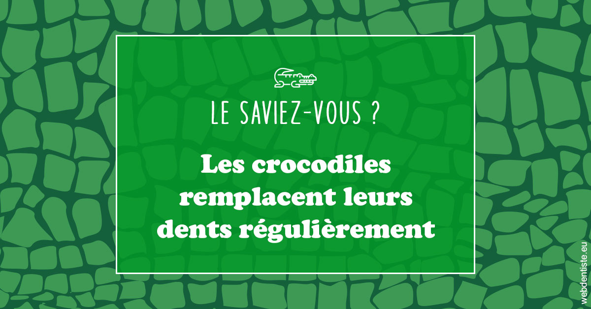 https://dr-robert-philippe.chirurgiens-dentistes.fr/Crocodiles 1
